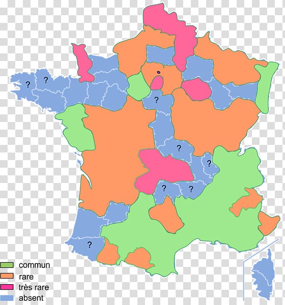 Alpes-de-Haute-Provence Departments of France Agen Regions of France Gondrin, pelophylax transparent background PNG clipart