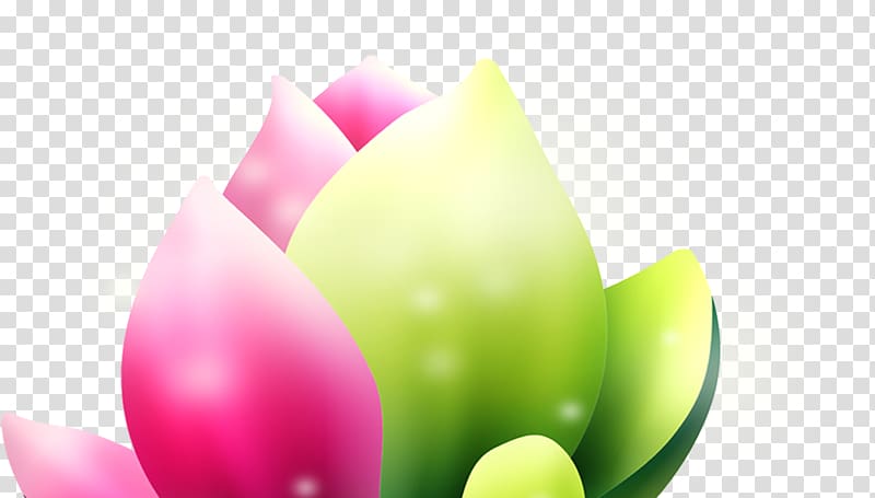 , Simple computer-generated flowers transparent background PNG clipart