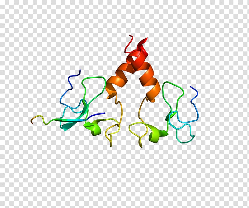 Protein Data Bank PHF21A Histone deacetylase Gene, protein transparent background PNG clipart