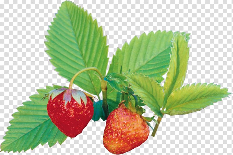 Strawberry Amorodo Auglis , strawberry transparent background PNG clipart