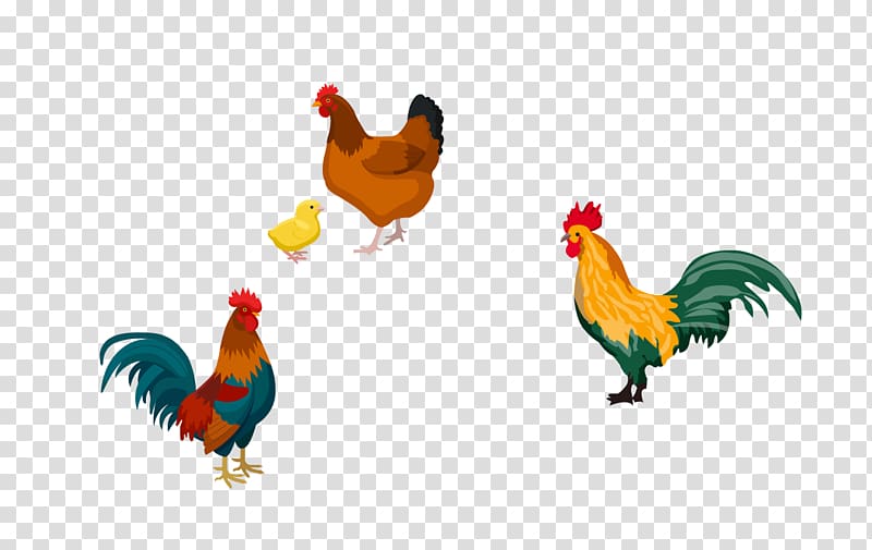 Rooster Roast chicken, chicken transparent background PNG clipart