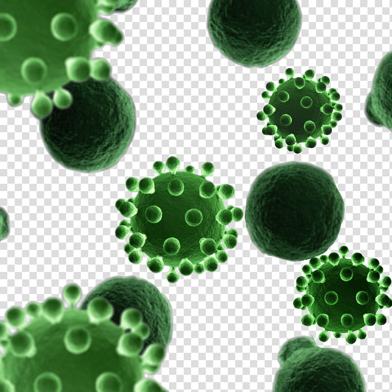 green and harmful bacteria ball material library transparent background PNG clipart