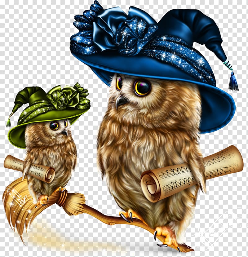 Little Owl Bird Hiboux & chouettes , august 15 2018 transparent background PNG clipart