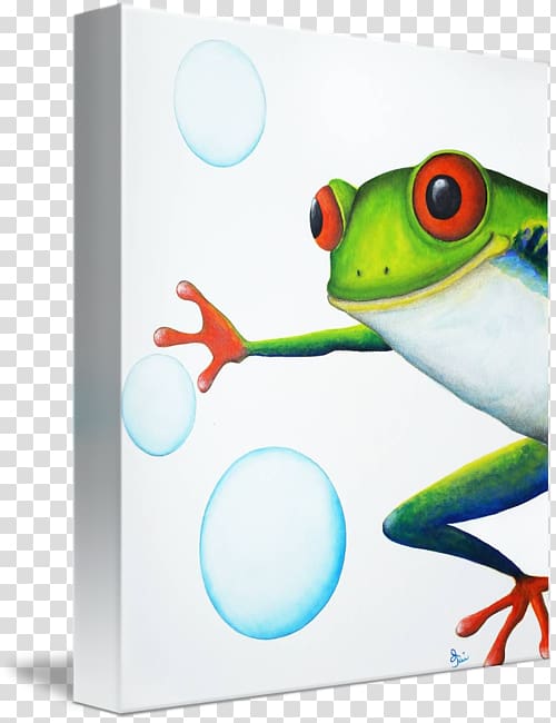 Tree frog, frog transparent background PNG clipart