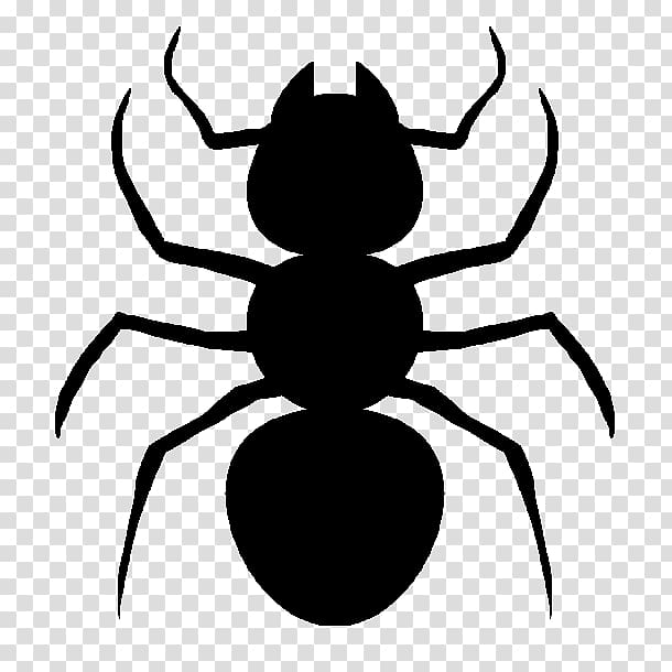 T-shirt Top Ant Insect Man, Bug transparent background PNG clipart