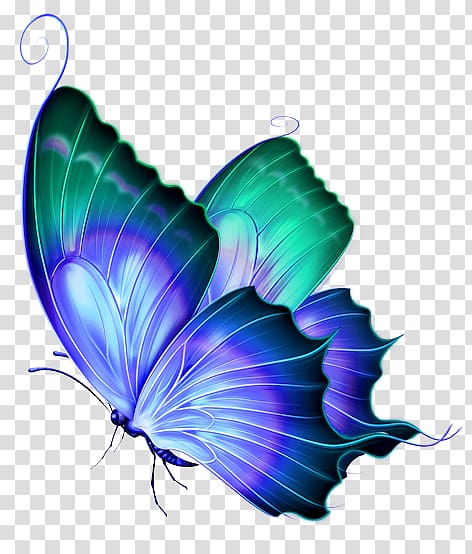 Butterfly Greta oto , Finalist transparent background PNG clipart