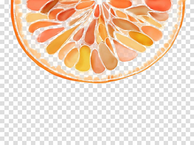Juice Grapefruit Yuja tea Pomelo Orange, Grapefruit decoration transparent background PNG clipart