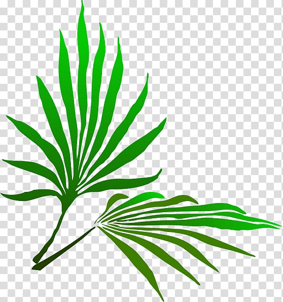 green leaf illustration, Sukkot Palm Branch transparent background PNG clipart