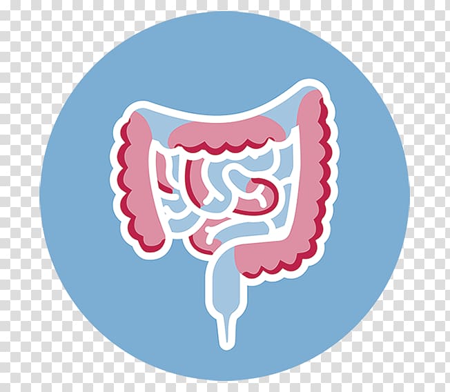 Elemental diet Crohn\'s disease Colitis Large intestine, crohnsdisease transparent background PNG clipart