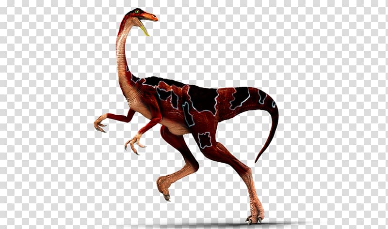 Dinosaur King Gallimimus Tyrannosaurus Parasaurolophus Afrovenator, dinosaur transparent background PNG clipart