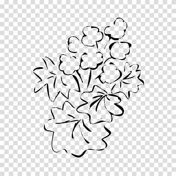 Bassano del Grappa Branch Cut flowers Rubbio, Alchemilla transparent background PNG clipart