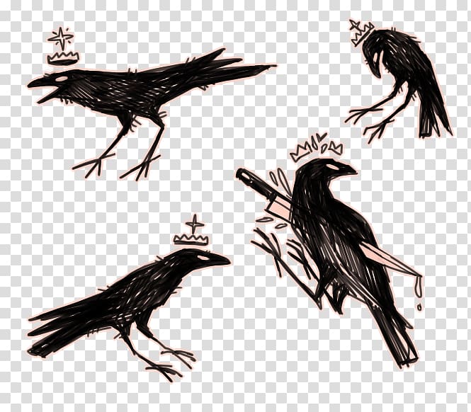 American crow In the Company of Crows and Ravens Drawing The Raven, crow transparent background PNG clipart