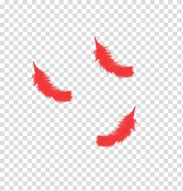 Red Feather transparent background PNG clipart