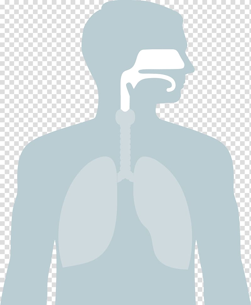 Sleep apnea Health Positive airway pressure Medicine, health transparent background PNG clipart