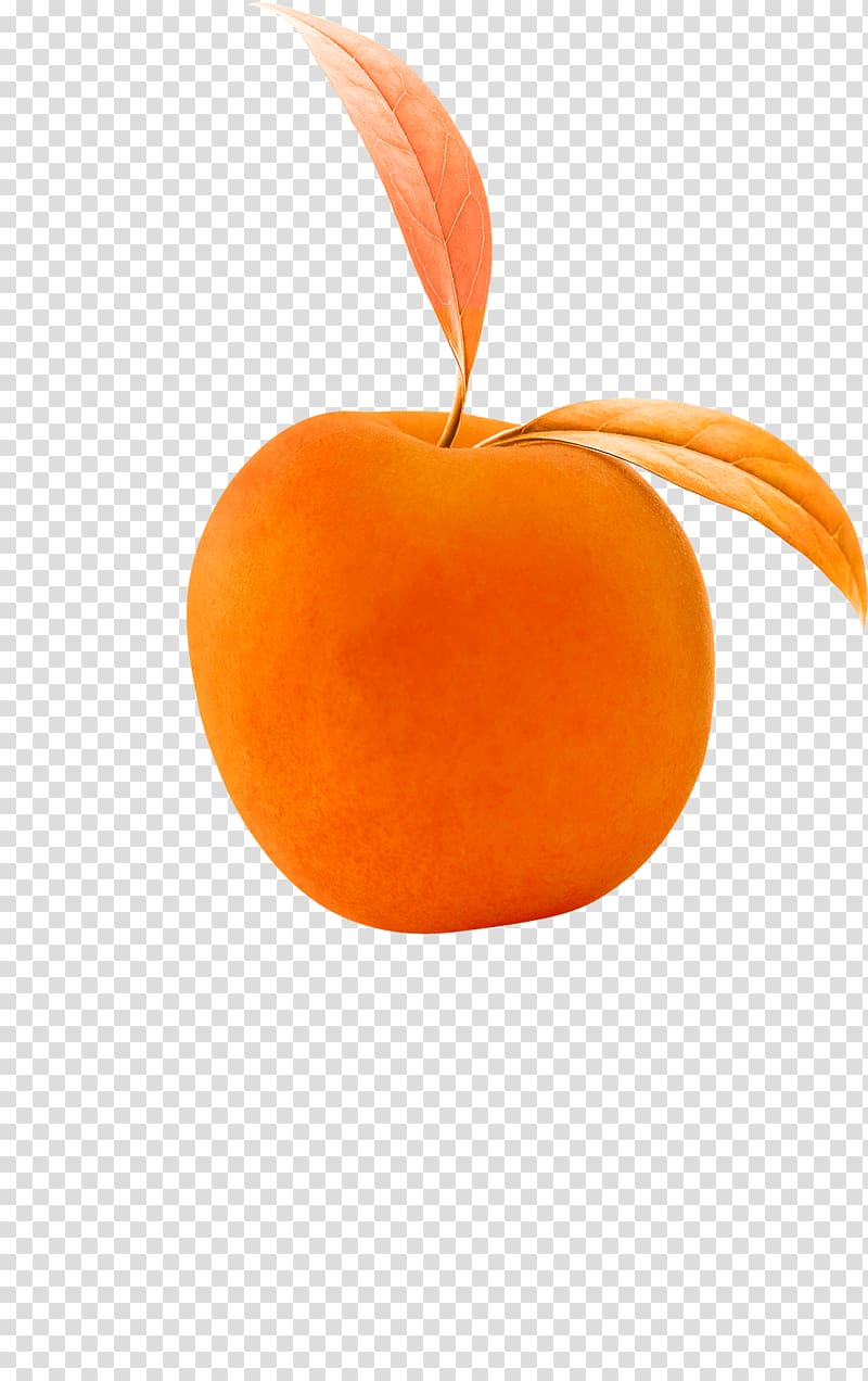 Apricot Palate Tickling Apple Welt, apricot transparent background PNG clipart