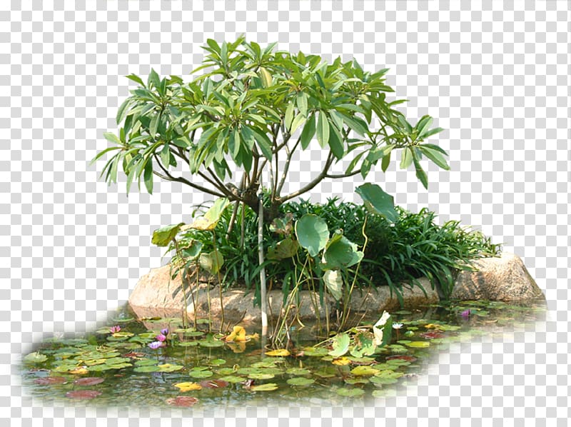 Tree Flowerpot Houseplant, Creative garden trees transparent background PNG clipart
