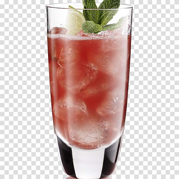 Cocktail garnish Mojito Sea Breeze Wine cocktail Woo Woo, mojito transparent background PNG clipart