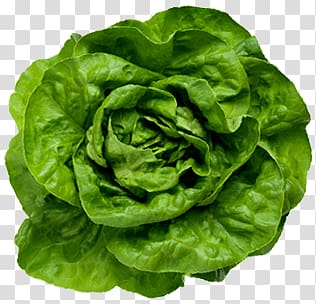 green vegetable, Lettuce transparent background PNG clipart