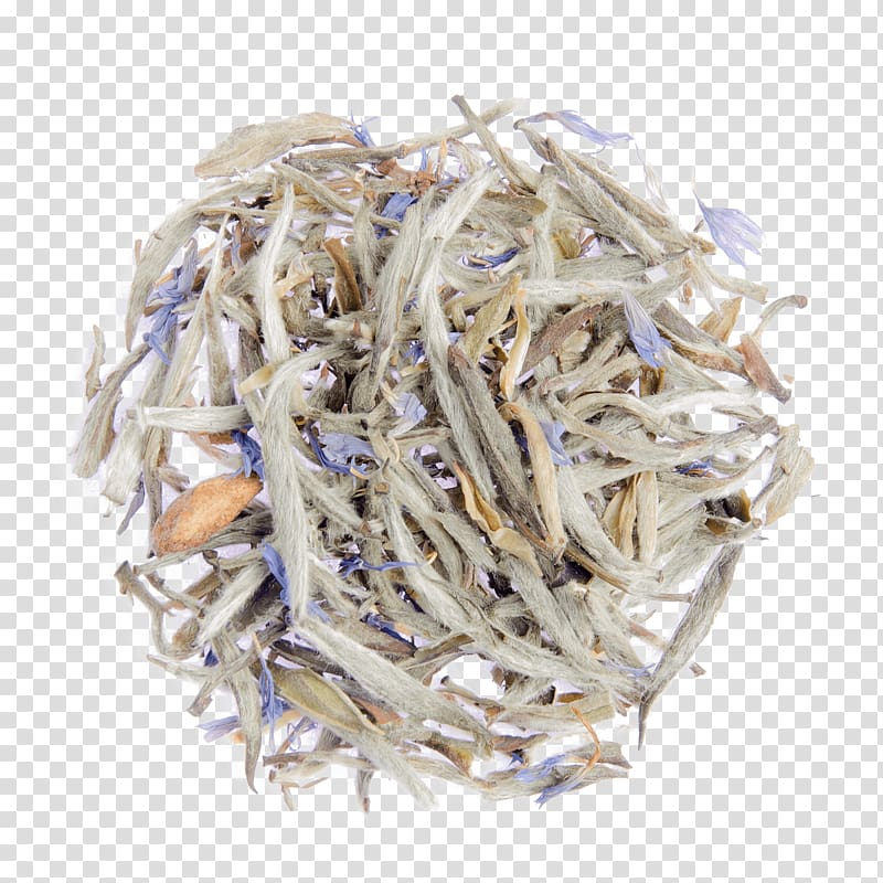 Whitebait Baihao Yinzhen Anchovies as food Anchovy, fuding white tea transparent background PNG clipart