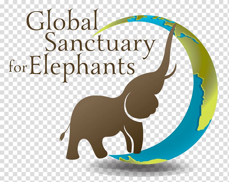 World Elephant Day World Elephant Day Dog Asian elephant, elephant transparent background PNG clipart