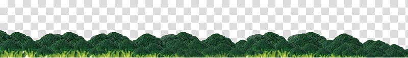 Grasses Structure Home Leaf Pattern, Cauliflower transparent background PNG clipart