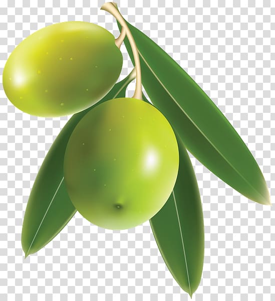 Olive Benishan Mango , olive transparent background PNG clipart