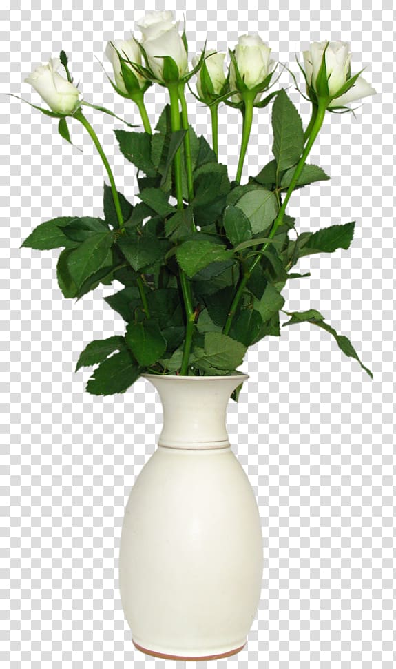 Flower Rose Vase , White Rose in Vase , white rose on white vase transparent background PNG clipart