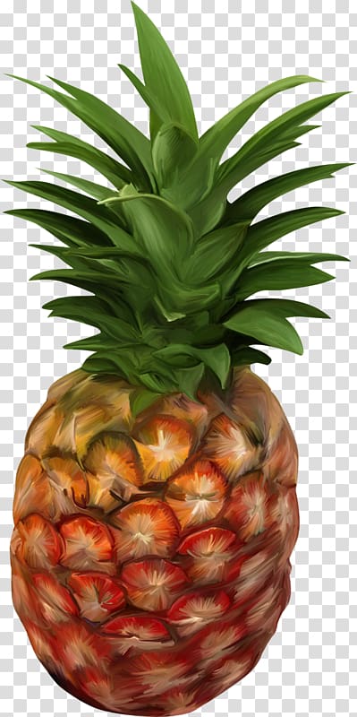 Pineapple Pizza English Fruit Tupi, Hand-painted pineapple transparent background PNG clipart