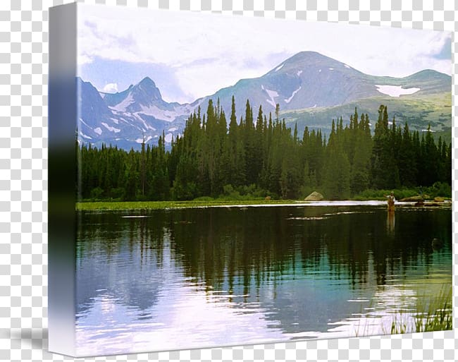 Fly fishing Nature reserve Mount Scenery Art, Fishing transparent background PNG clipart