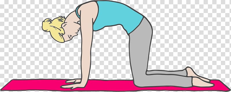 Marjariasana Yoga & Pilates Mats Hip Common Admission Test (CAT) · 2018, cats stretching transparent background PNG clipart