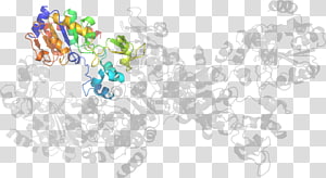 Line Point , line transparent background PNG clipart thumbnail