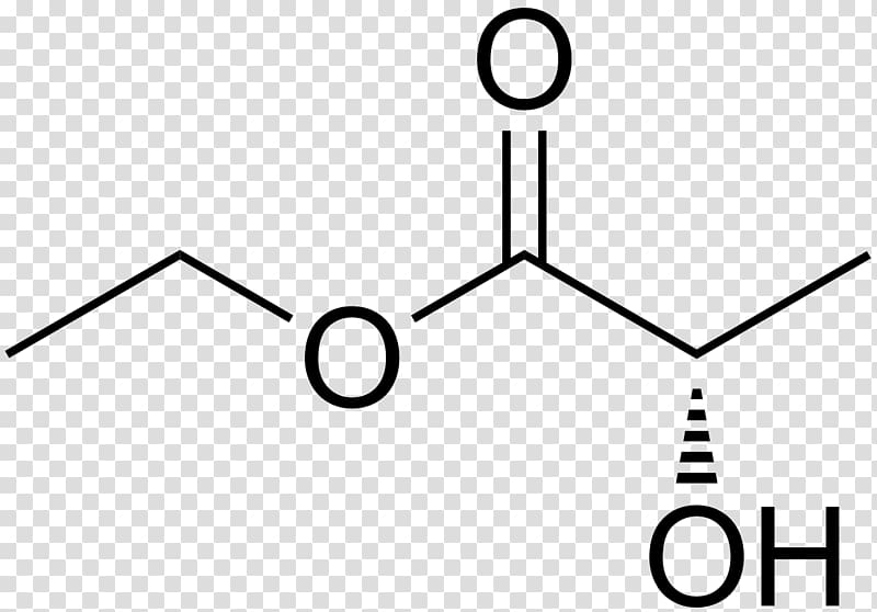 gamma-Aminobutyric acid Valeric acid alpha-Aminobutyric acid, ester transparent background PNG clipart