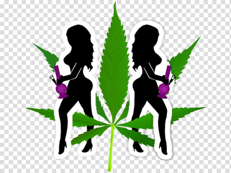 Ganja Girls LLC Cannabis Hemp Bong Head shop, cannabis transparent background PNG clipart