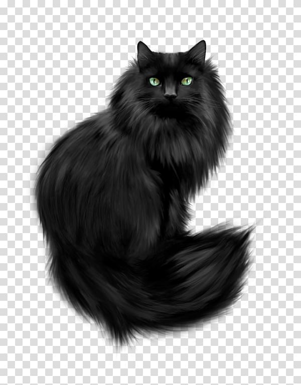 Kitten Persian cat Havana Brown German Rex , black cat attack transparent background PNG clipart