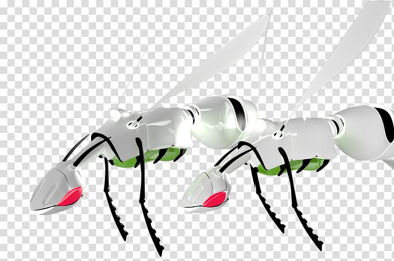 Insect Decapoda , insect transparent background PNG clipart