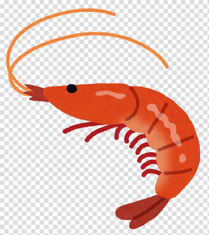 Shrimp Crab Kuruma prawn Fishing Carapace, Shrimp transparent background PNG clipart