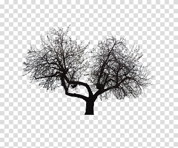 Tree Twig, Depression bifurcation tree transparent background PNG clipart