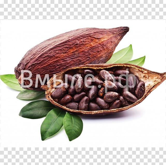 Cocoa bean Cocoa solids Hot Chocolate Chocolate liquor, chocolate transparent background PNG clipart