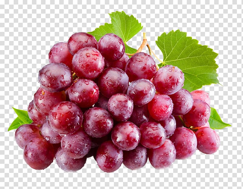 grapes, Juice Isabella Common Grape Vine Table grape, Grape pattern transparent background PNG clipart