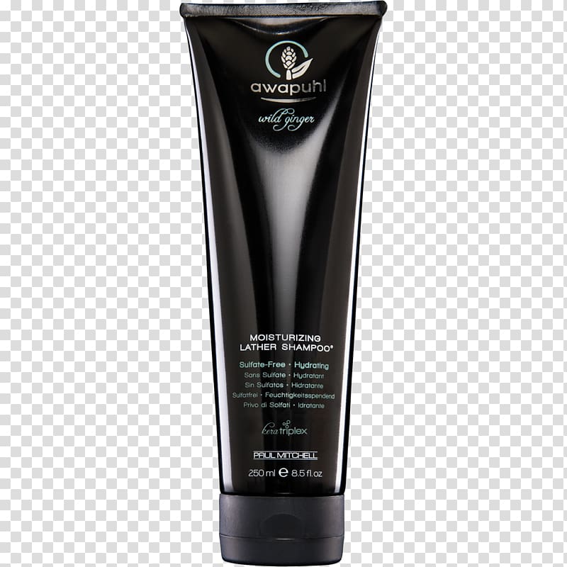 Paul Mitchell Awapuhi Wild Ginger Moisturizing Lather Shampoo Hair Care Bitter ginger Hair conditioner, shampoo transparent background PNG clipart