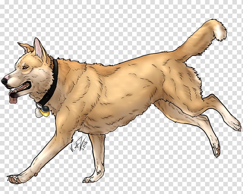 Saarloos wolfdog Dingo Animal Dog breed, shading decoration transparent background PNG clipart