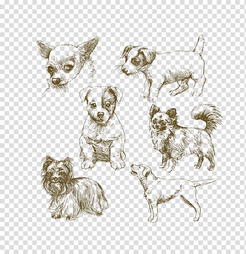 Jack Russell Terrier Puppy Drawing Illustration, simple pen black hand painted dog realistic transparent background PNG clipart