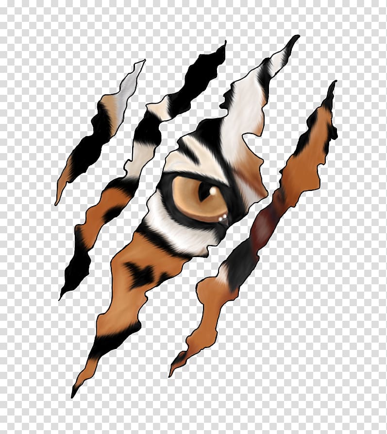 tiger eye, Tiger Claw Cheetah , tiger transparent background PNG clipart