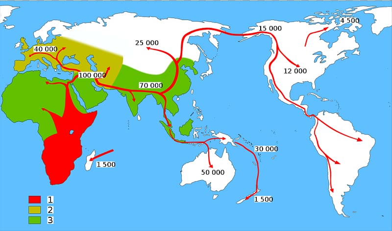 Neanderthal Anatomically modern human Homo sapiens idaltu Early human migrations Upright man, Globe Graphic transparent background PNG clipart