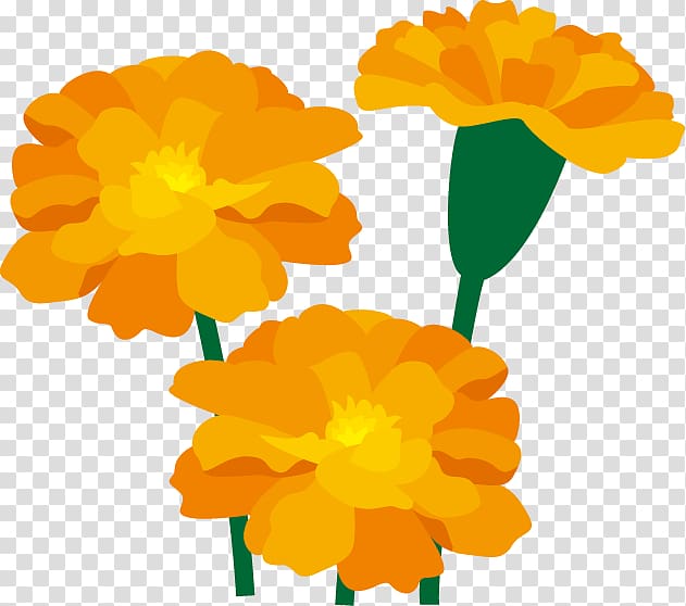 Marigold Flower Art , marigold transparent background PNG clipart