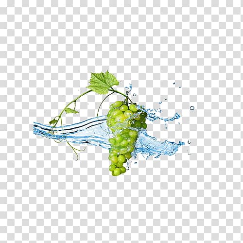 Grape leaves Berry , FIG washed grapes transparent background PNG clipart