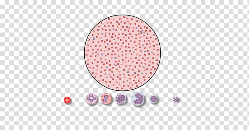 Carpet Red blood cell Tufting Bedroom, blood cells transparent background PNG clipart