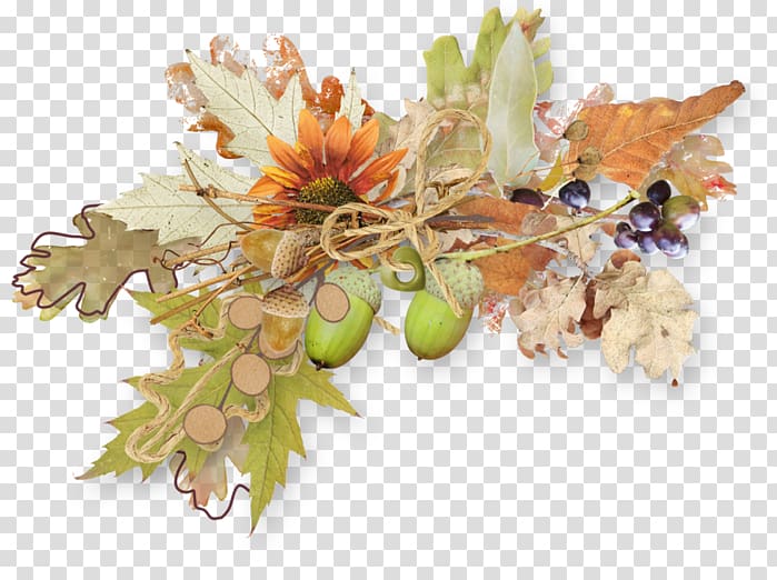 Autumn , others transparent background PNG clipart