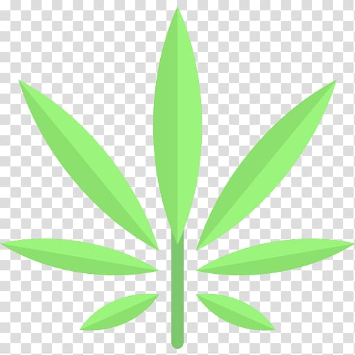 Medical cannabis Hemp Cannabis cultivation Autoflowering cannabis, cannabis transparent background PNG clipart