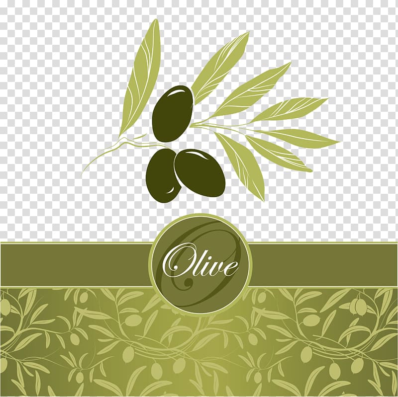 Olive logo, Olive leaf Euclidean Olive oil, Olive oil labels cover transparent background PNG clipart